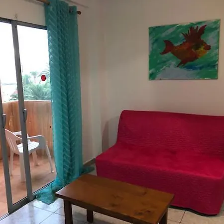 Playa Jardin 아파트 *